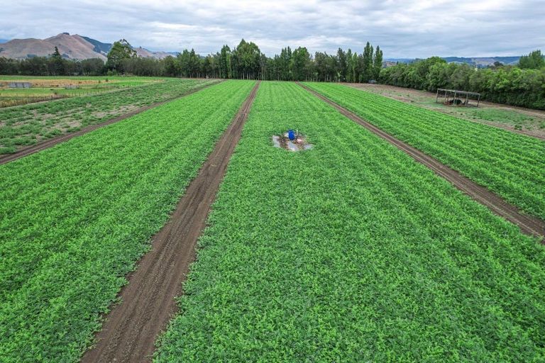 Photo of property in 444 Paton Road, Hope, Richmond, 7081