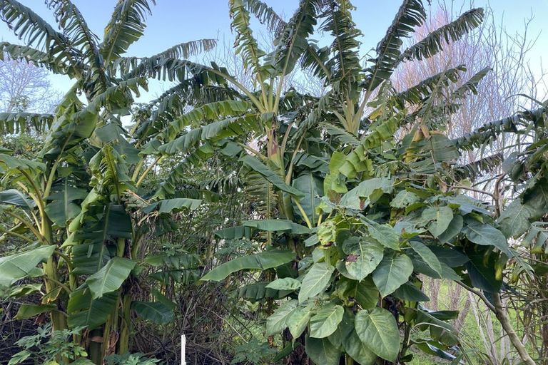 Photo of property in 4 Te Pahi River Drive, Paparoa, Maungaturoto, 0583