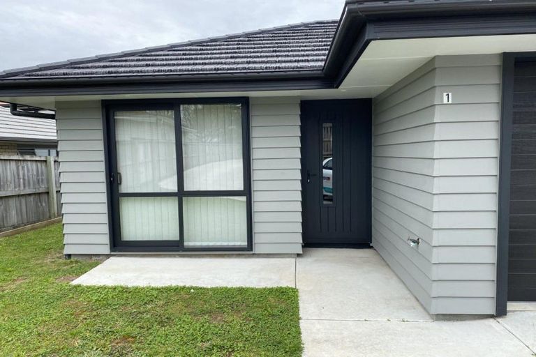 Photo of property in 1/159 Ellicott Road, Hamilton