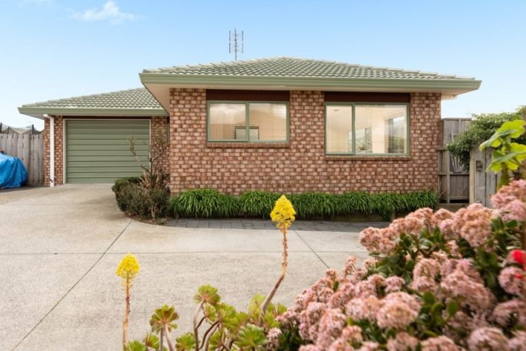 Photo of property in 49c Coopers Road, Gate Pa, Tauranga, 3112