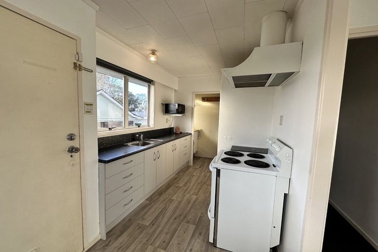 Photo of property in 224 Nixon Street, Hamilton East, Hamilton, 3216