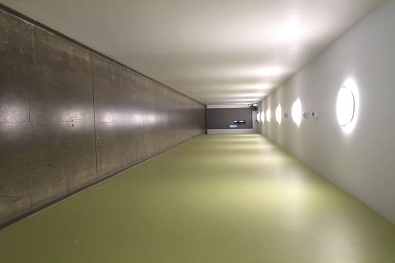 Photo of property in Dual Apartments, 503/142 Vivian Street, Te Aro, Wellington, 6011