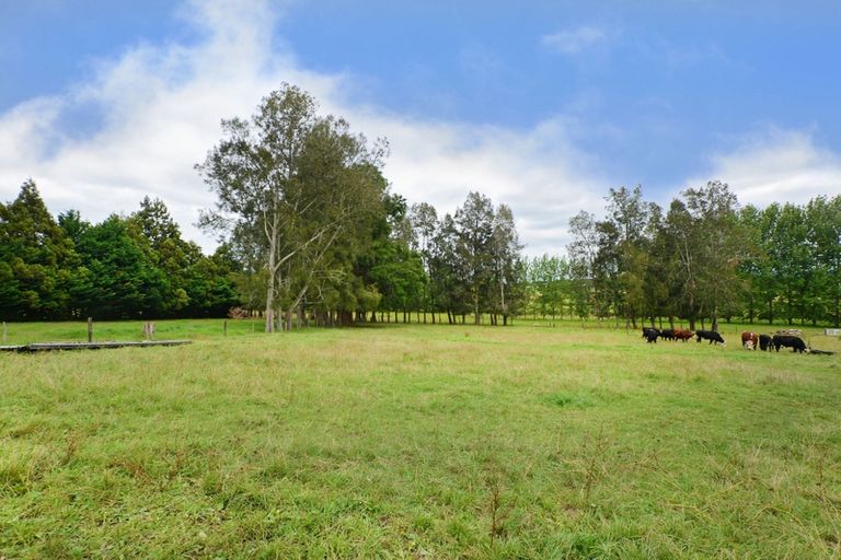 Photo of property in 89 Vinegar Hill Road, Kauri, Kamo, 0185