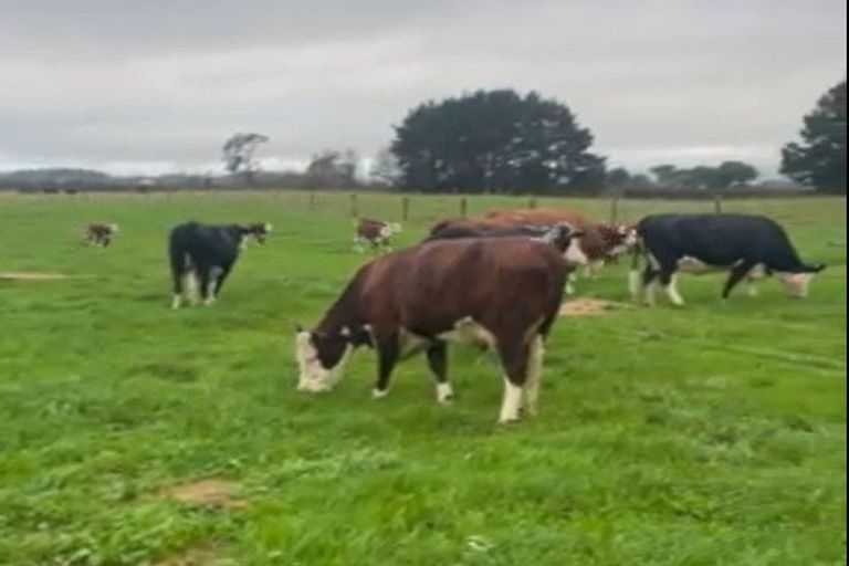 Photo of property in 15 Codlin Road, Waiuku, 2683