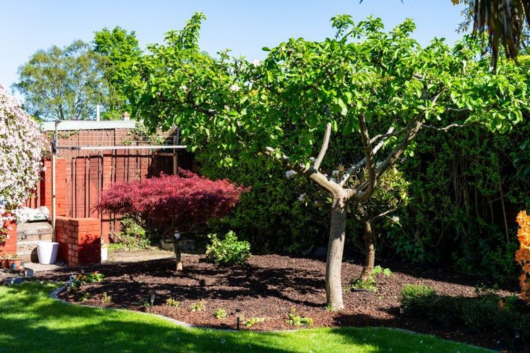 Photo of property in 17c Forfar Street, Mosgiel, 9024