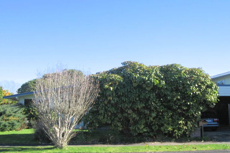 Photo of property in 15 Bernard Street, Chedworth, Hamilton, 3210