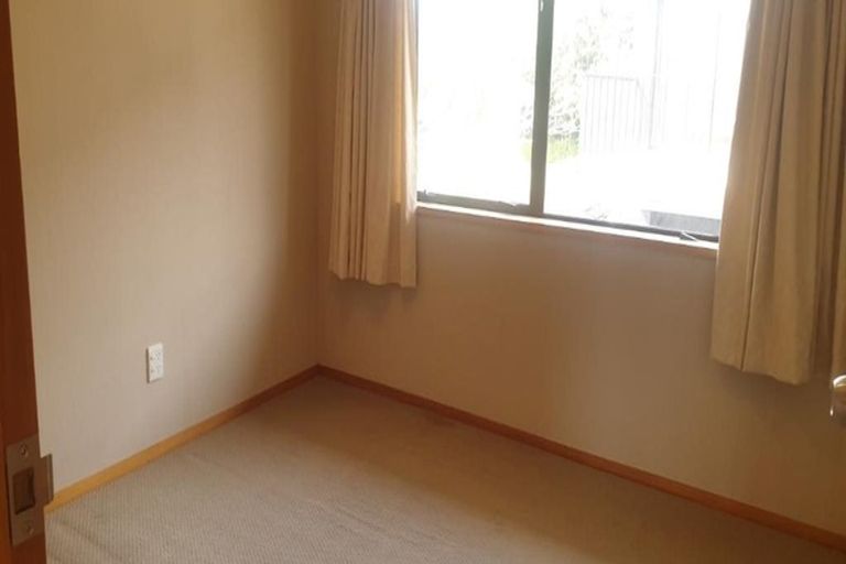Photo of property in 49 May Street, Mount Maunganui, 3116