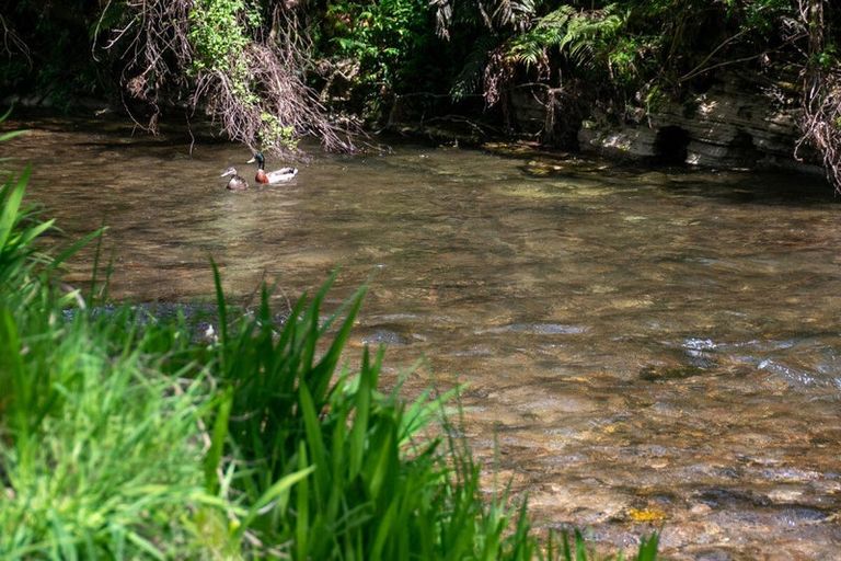 Photo of property in 1061 Paradise Valley Road, Ngongotaha Valley, Rotorua, 3072