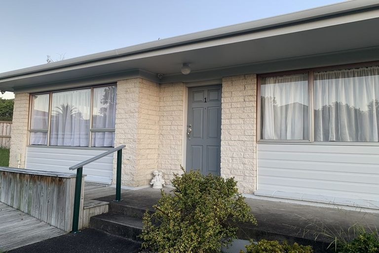 Photo of property in 1/17 Matuhi Rise, Henderson, Auckland, 0612