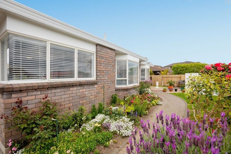 Photo of property in 3a Percival Avenue, Matua, Tauranga, 3110