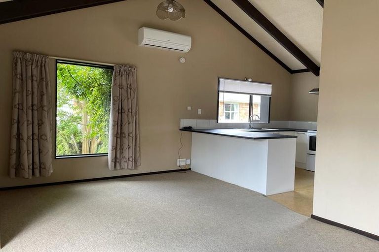 Photo of property in 43b Te Aroha Street, Hamilton East, Hamilton, 3216