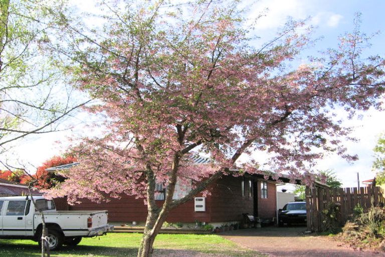 Photo of property in 8a Streamdale Place, Ngongotaha, Rotorua, 3010