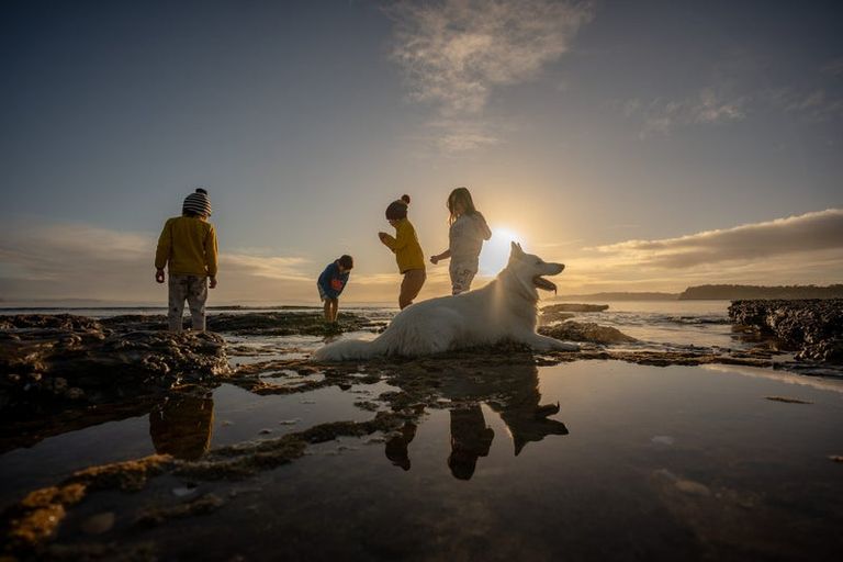 Photo of property in 90 Ardern Avenue, Stanmore Bay, Whangaparaoa, 0932