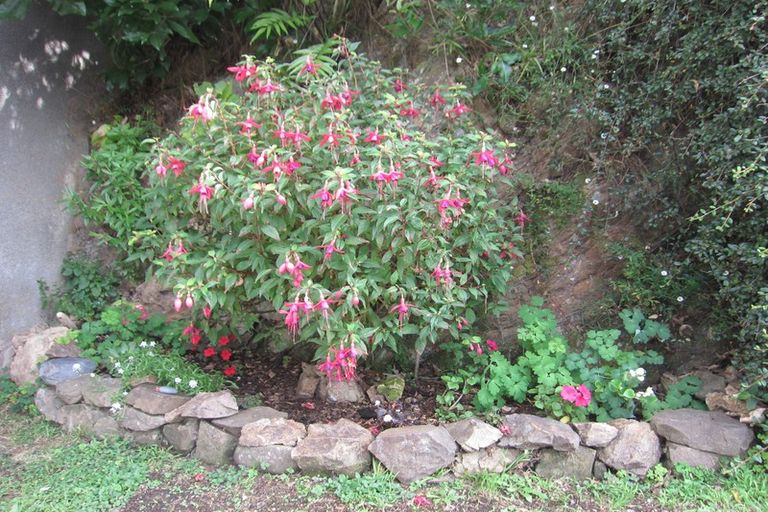 Photo of property in 2/6 Whaui Street, Vogeltown, Wellington, 6021