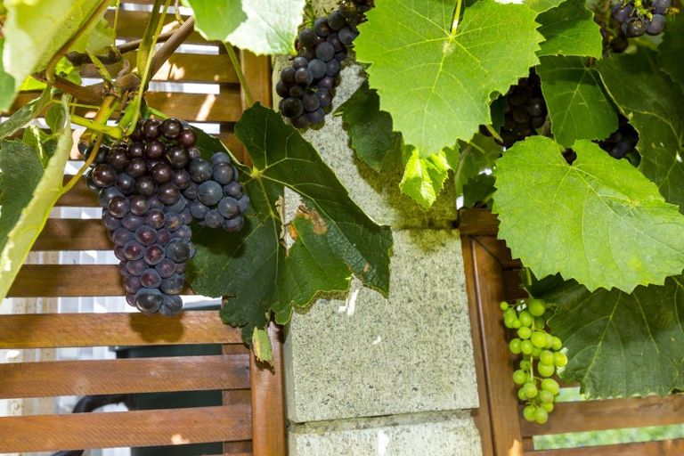 Photo of property in 77 Shakespeare Avenue, Trentham, Upper Hutt, 5018