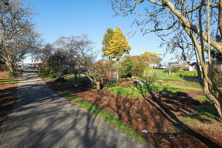 Photo of property in 63 Hall Street, Kihikihi, Te Awamutu, 3800