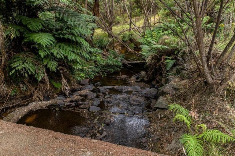 Photo of property in 1939 The 309 Road, Kaimarama, Whitianga, 3591