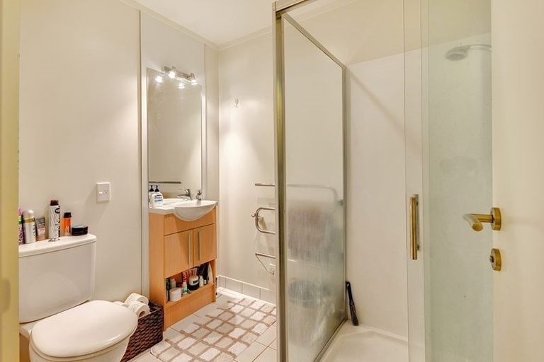 Photo of property in Luna Apartments, 1n/16 Burton Street, Grafton, Auckland, 1010