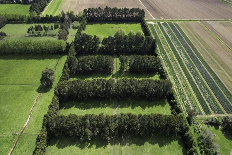 Photo of property in 222 Bruce Road, Levin, 5510