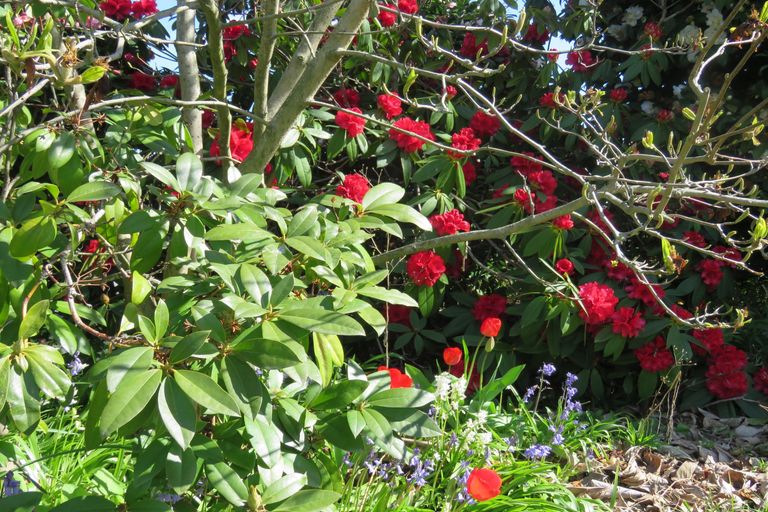 Photo of property in 32b Campbell Street, Geraldine, 7930