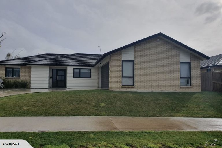 Photo of property in 14 Patatee Terrace, Baverstock, Hamilton, 3200