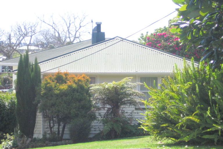 Photo of property in 48 Manson Street, Gate Pa, Tauranga, 3112