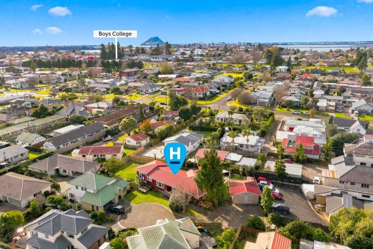 Photo of property in 161a Fraser Street, Tauranga South, Tauranga, 3112