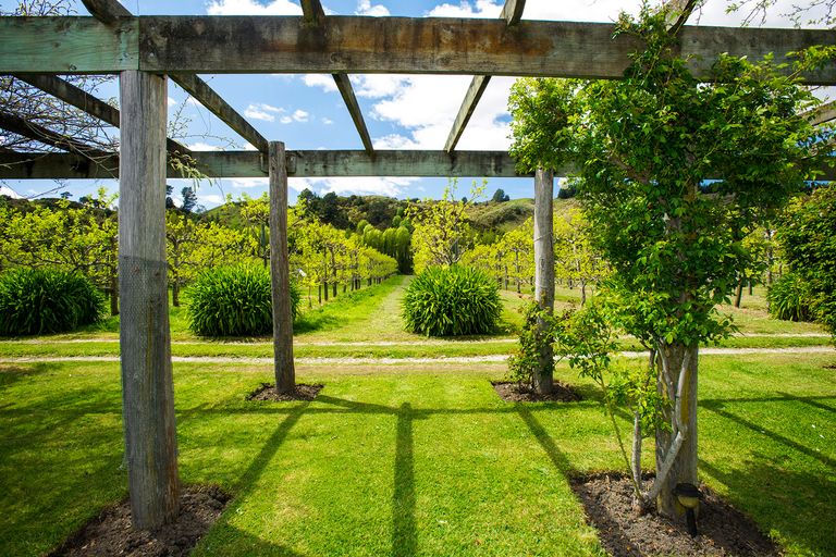 Photo of property in 22 Hill Road, Ormond, Gisborne, 4071