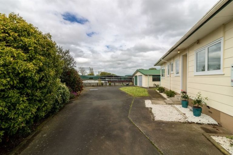 Photo of property in 461 Kahikatea Drive, Dinsdale, Hamilton, 3204