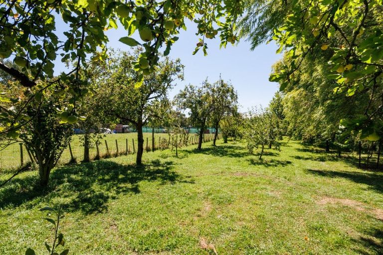 Photo of property in 154 Oroua Road, Kairanga, Palmerston North, 4475