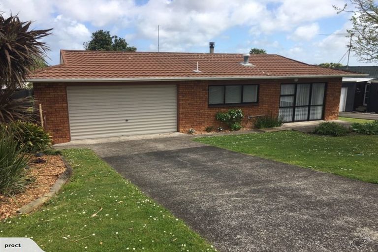 Photo of property in 41 Green Lane, Pukekohe, 2120