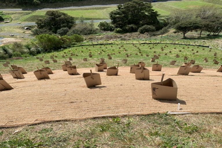 Photo of property in 21 Skylark Rise, Todds Valley, Nelson, 7071