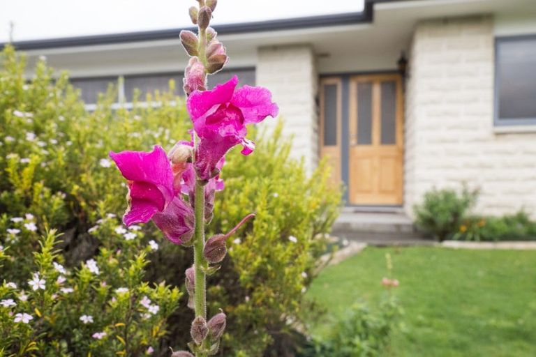 Photo of property in 28 Cedar Crescent, Feilding, 4702