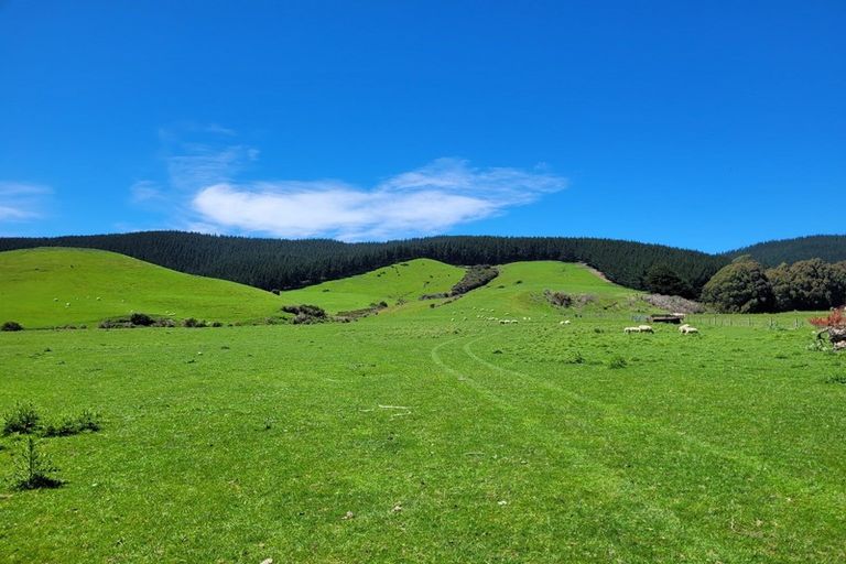Photo of property in 990 Waihola Highway, Waihola, Outram, 9073