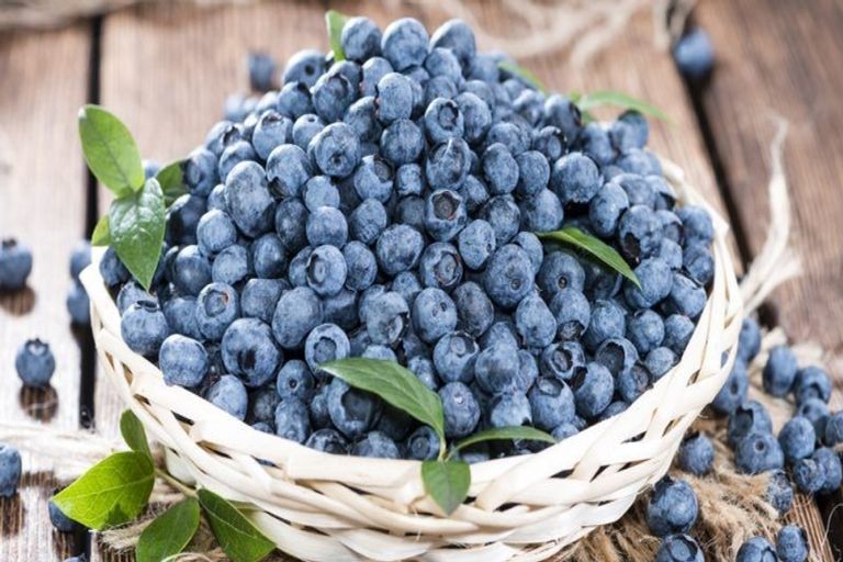 Photo of property in 1/10 Dinton Street, Russley, Christchurch, 8042