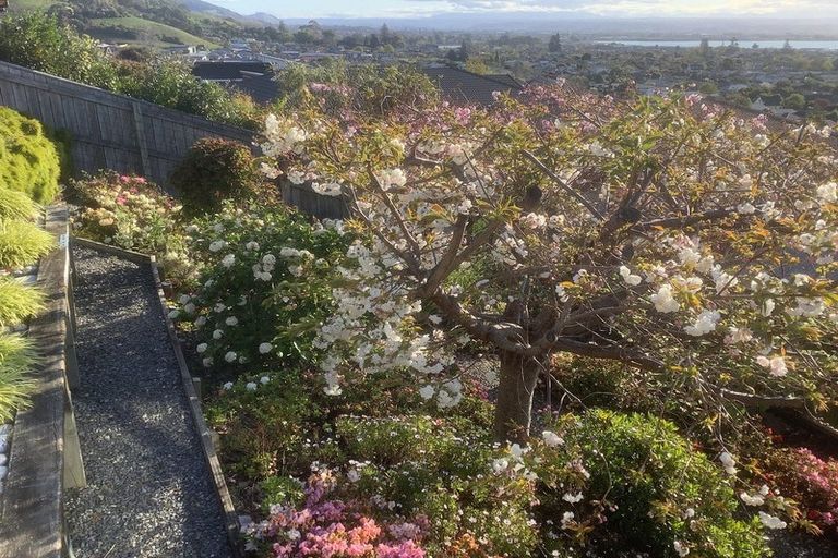 Photo of property in 6 Norfolk Place, Stoke, Nelson, 7011