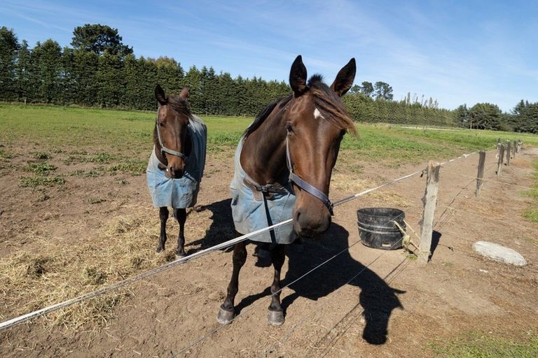 Photo of property in 11 Hatfield Overdale Road, Rakaia, 7781
