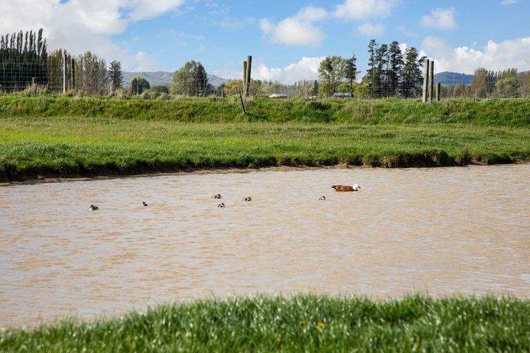 Photo of property in 272 Galloway Road, Galloway, Alexandra, 9393