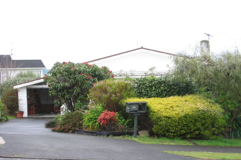 Photo of property in 14 Matipo Street, Lansdowne, Masterton, 5810