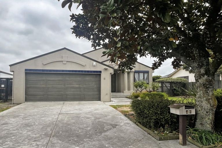 Photo of property in 46 Dalfield Place, Highbury, Palmerston North, 4412