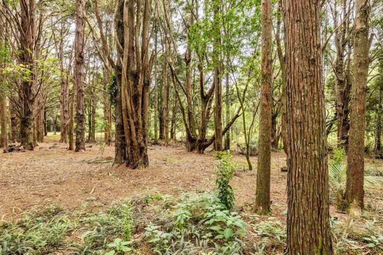 Photo of property in 296 Punakitere Road, Taheke, Kaikohe, 0473