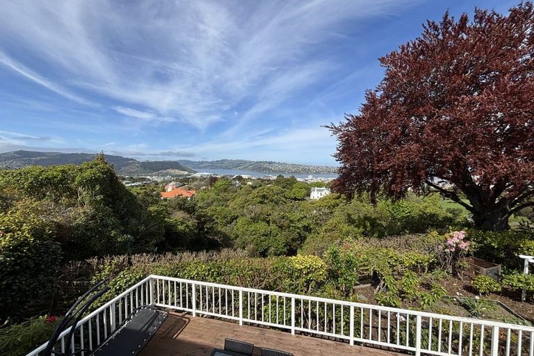 Photo of property in 30 Tweed Street, Roslyn, Dunedin, 9010