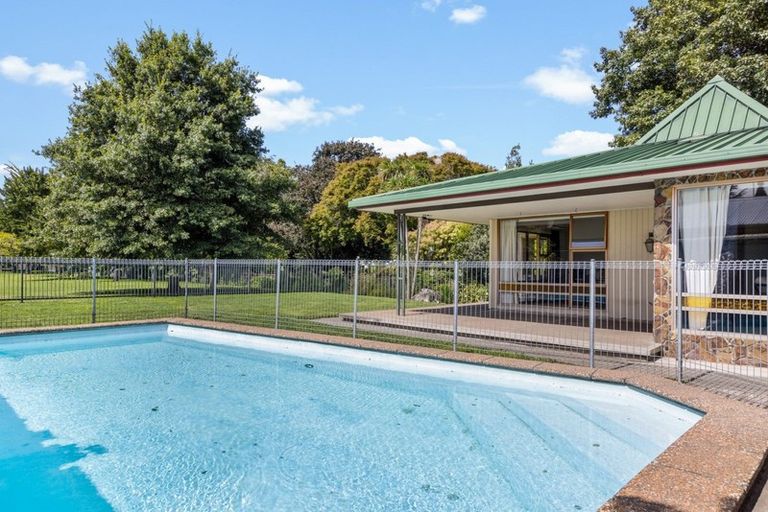 Photo of property in 611 York Street, Mahora, Hastings, 4120