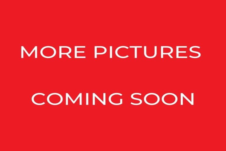 Photo of property in 20a Bains Avenue, Hamilton East, Hamilton, 3216