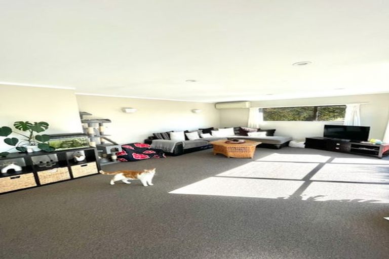 Photo of property in 1/13 Naviti Place, Browns Bay, Auckland, 0630