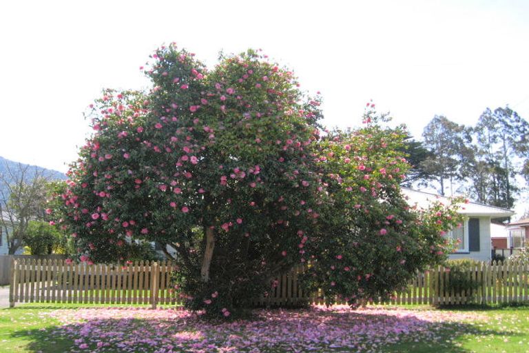 Photo of property in 37a Shirley Street, Mangakakahi, Rotorua, 3015