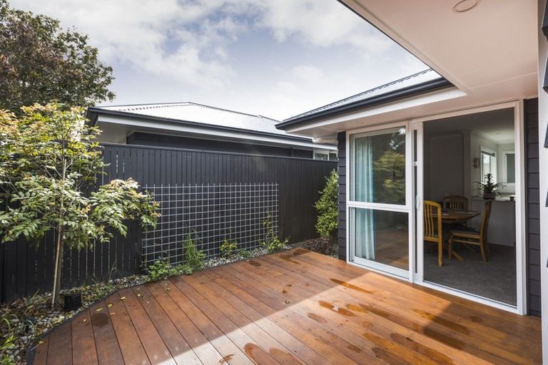 Photo of property in 17c Alfred Street, Roslyn, Palmerston North, 4414