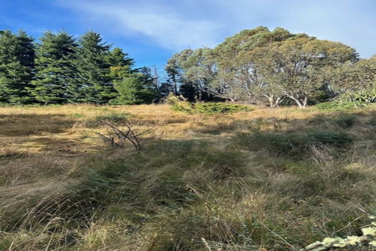 Photo of property in 1 Mount Lyford Avenue, Lyford, Waiau, 7395