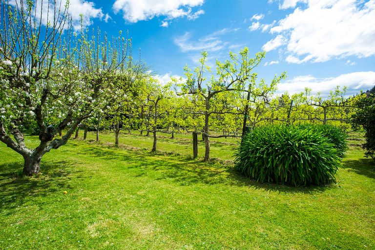 Photo of property in 22 Hill Road, Ormond, Gisborne, 4071