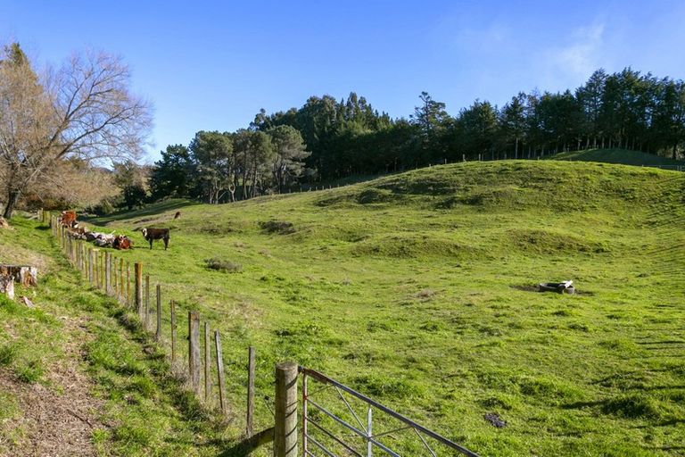 Photo of property in 151b Palmer Mill Road, Wairakei, Taupo, 3384